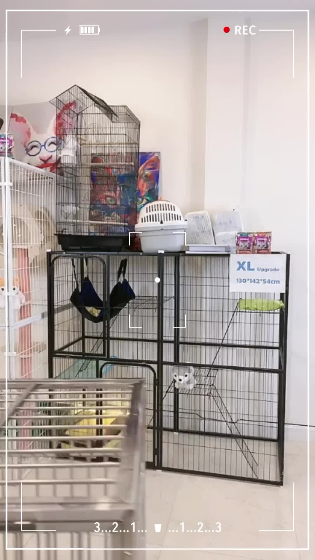 @petsland