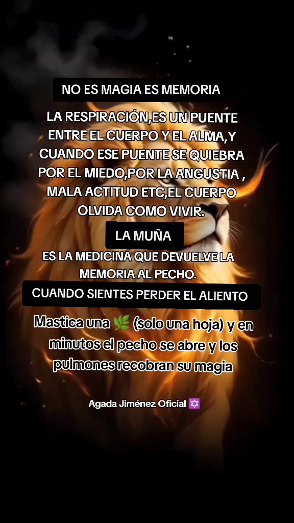 @HAGADA  JIM&Eacute;NEZ