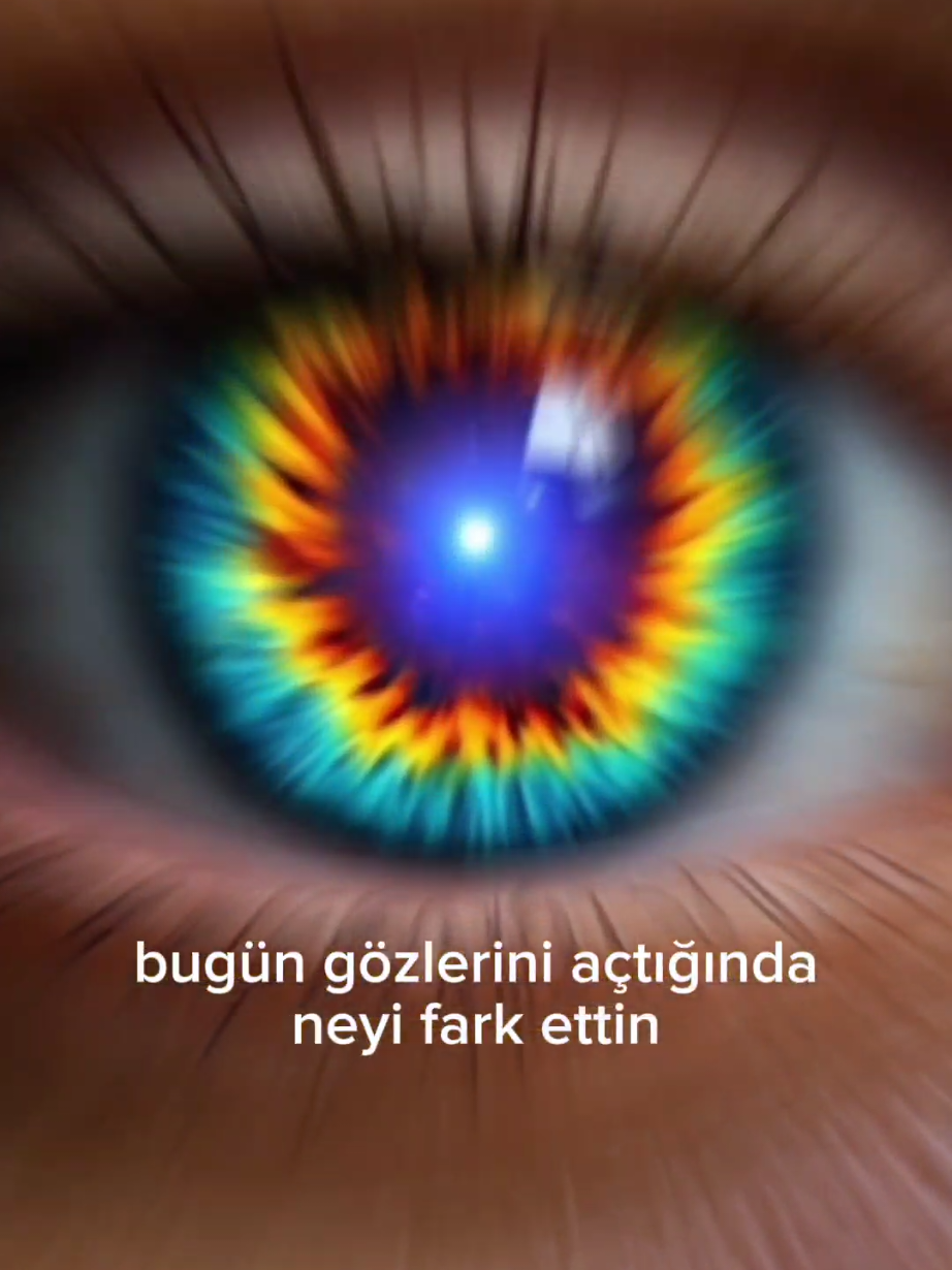 @kelebeğin rüyası