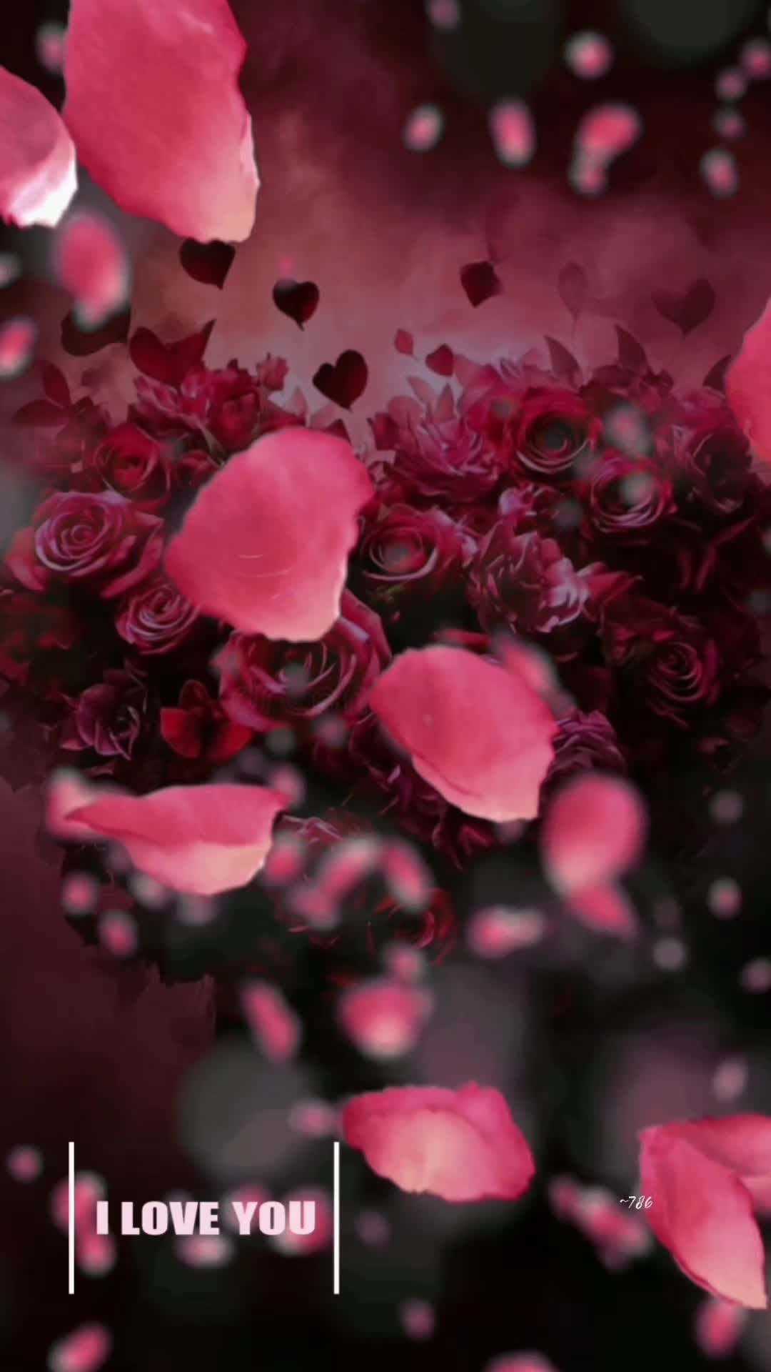 @Leesayeo🌹 official 💋