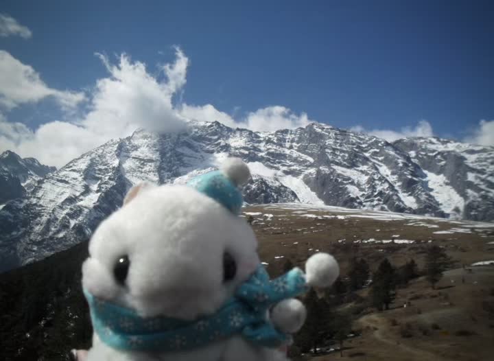 @decay