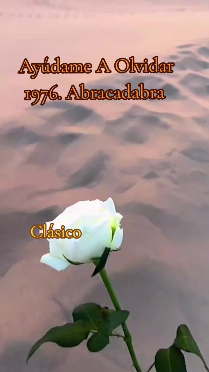 @LUL&Uacute; ❤️❣️🌷