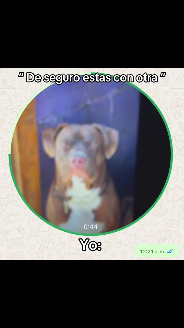 @Sifontes 🕷️