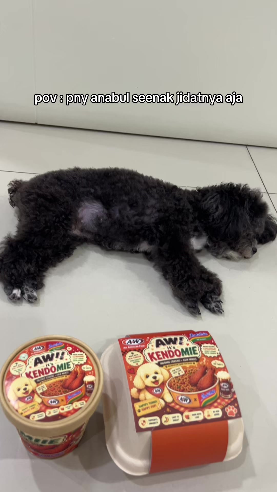 @chippi the poochon