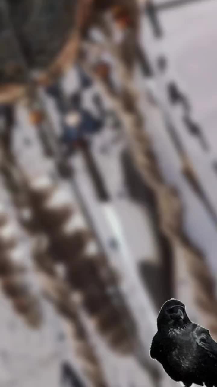 @Яна