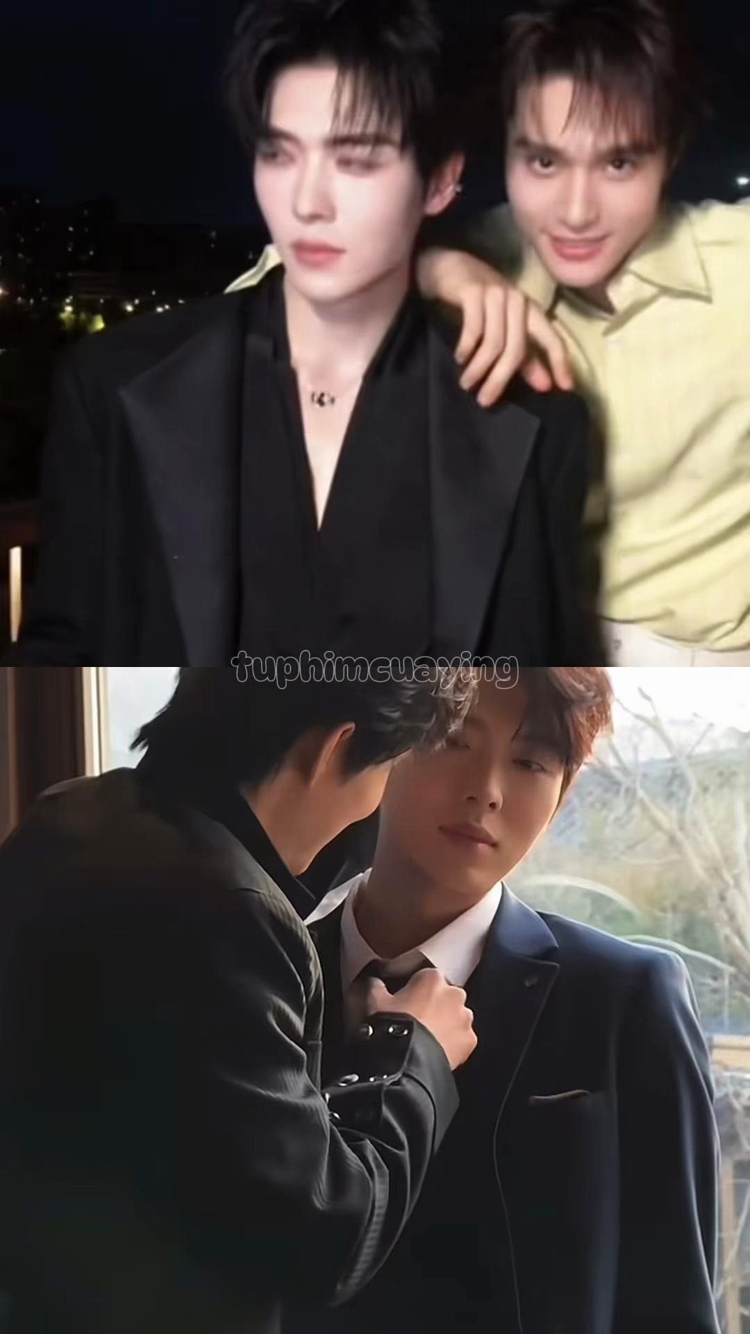 @tuphimcuaying