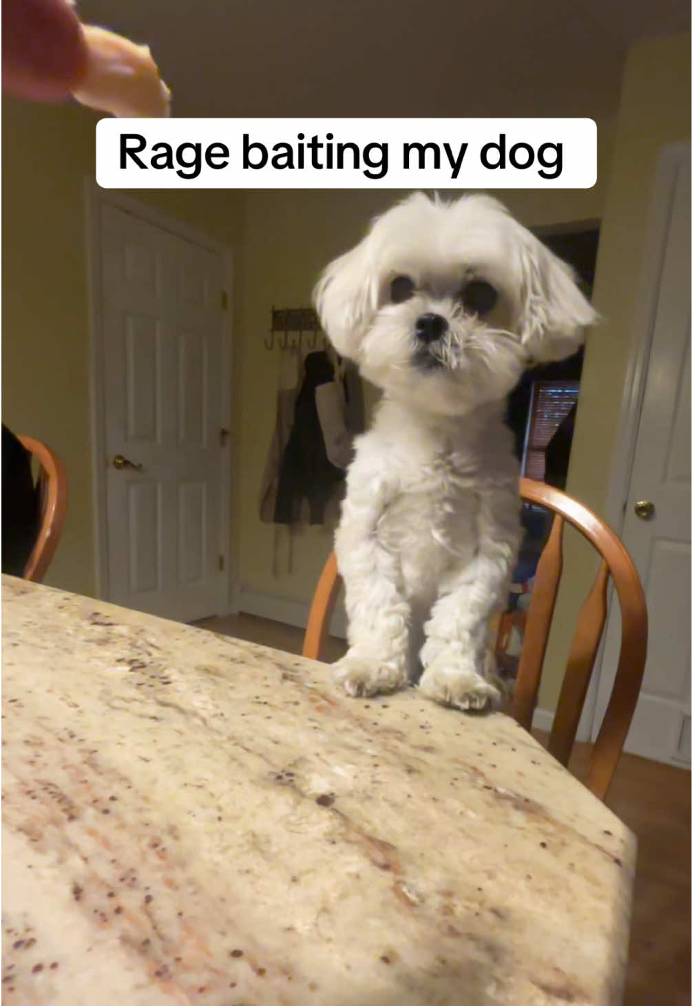 @CrispyChris