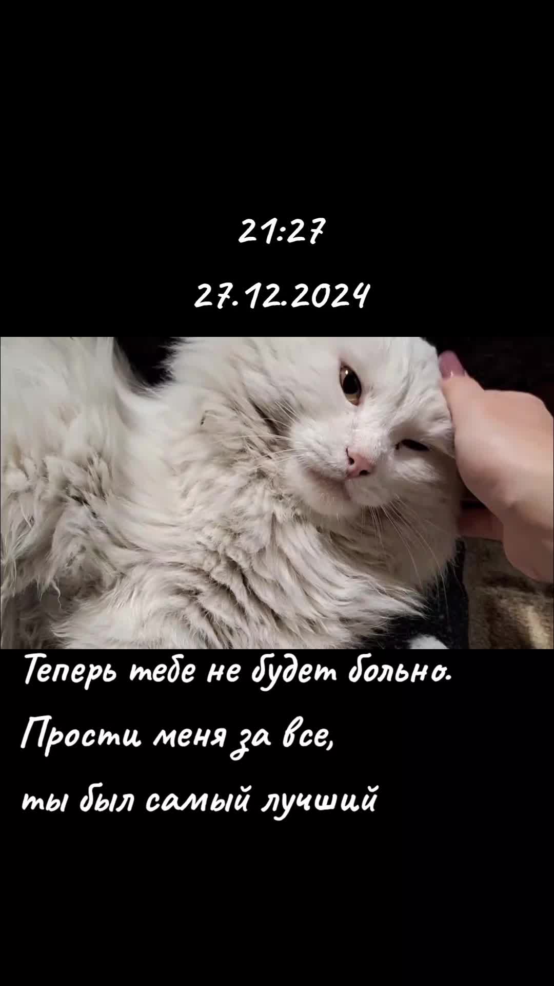 @lonaflow