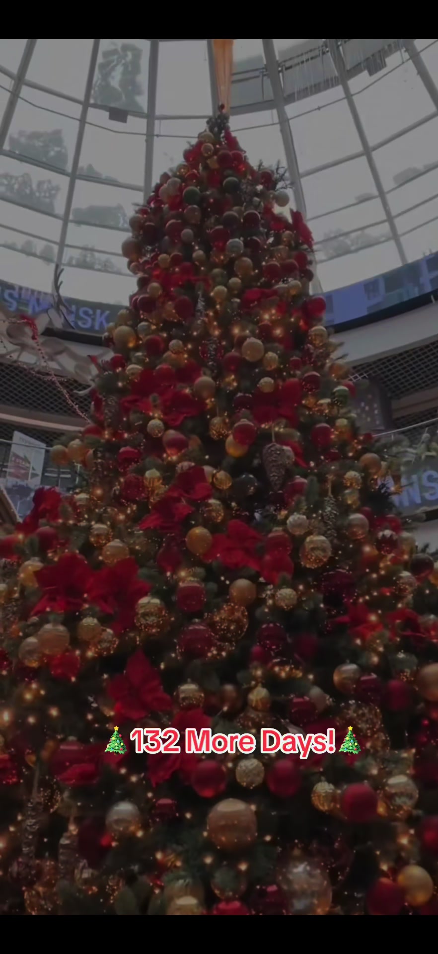 @christmas.tree65