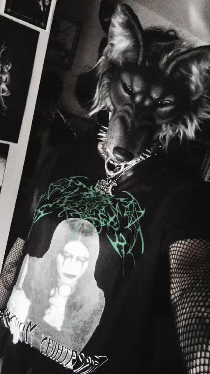 @XlycanbloodXx 𓃦