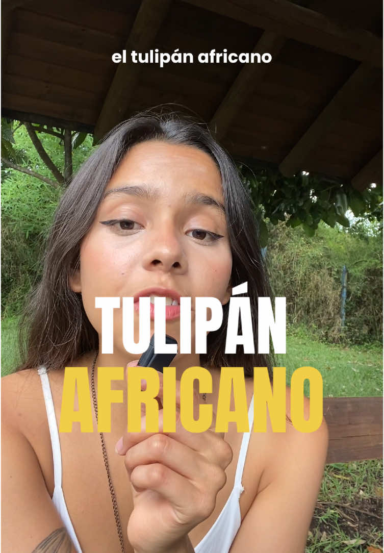 @Biocattleya | Divulgación 🍄