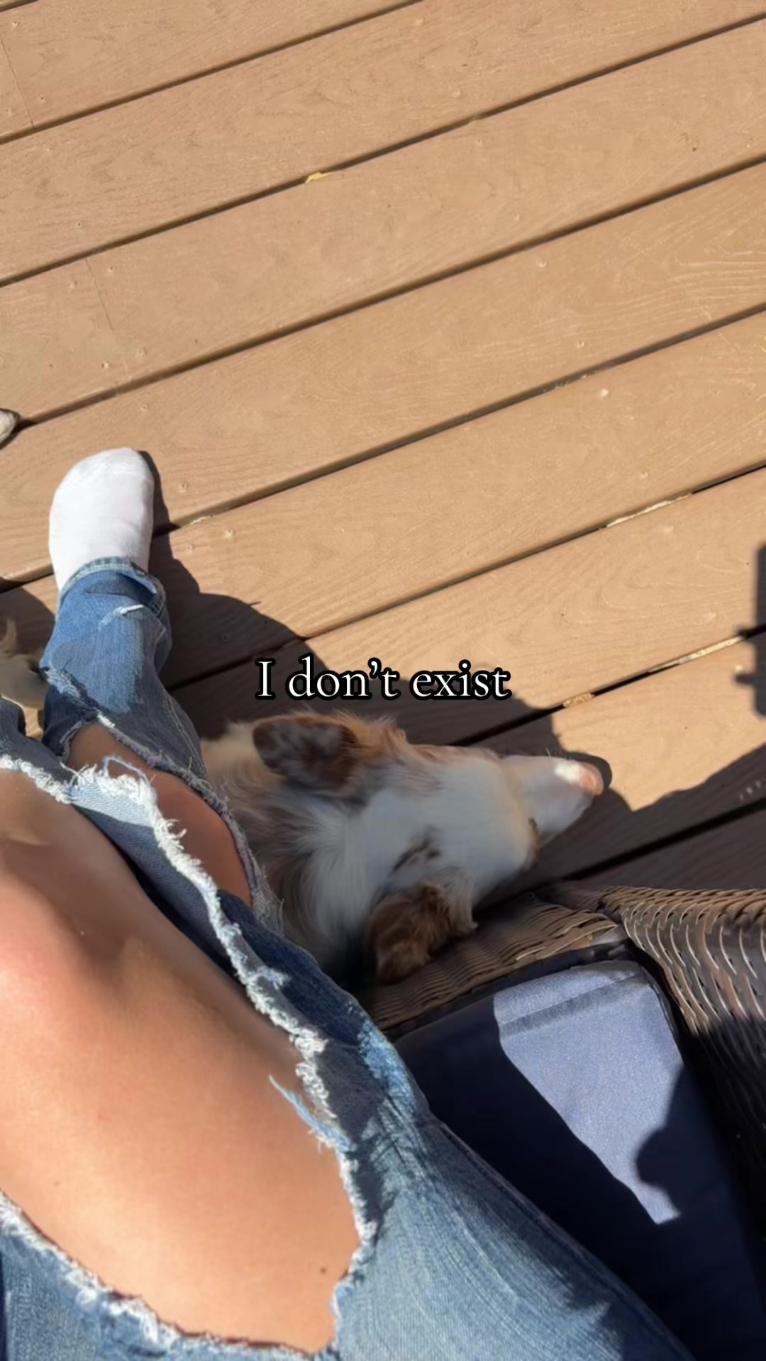 @Jd