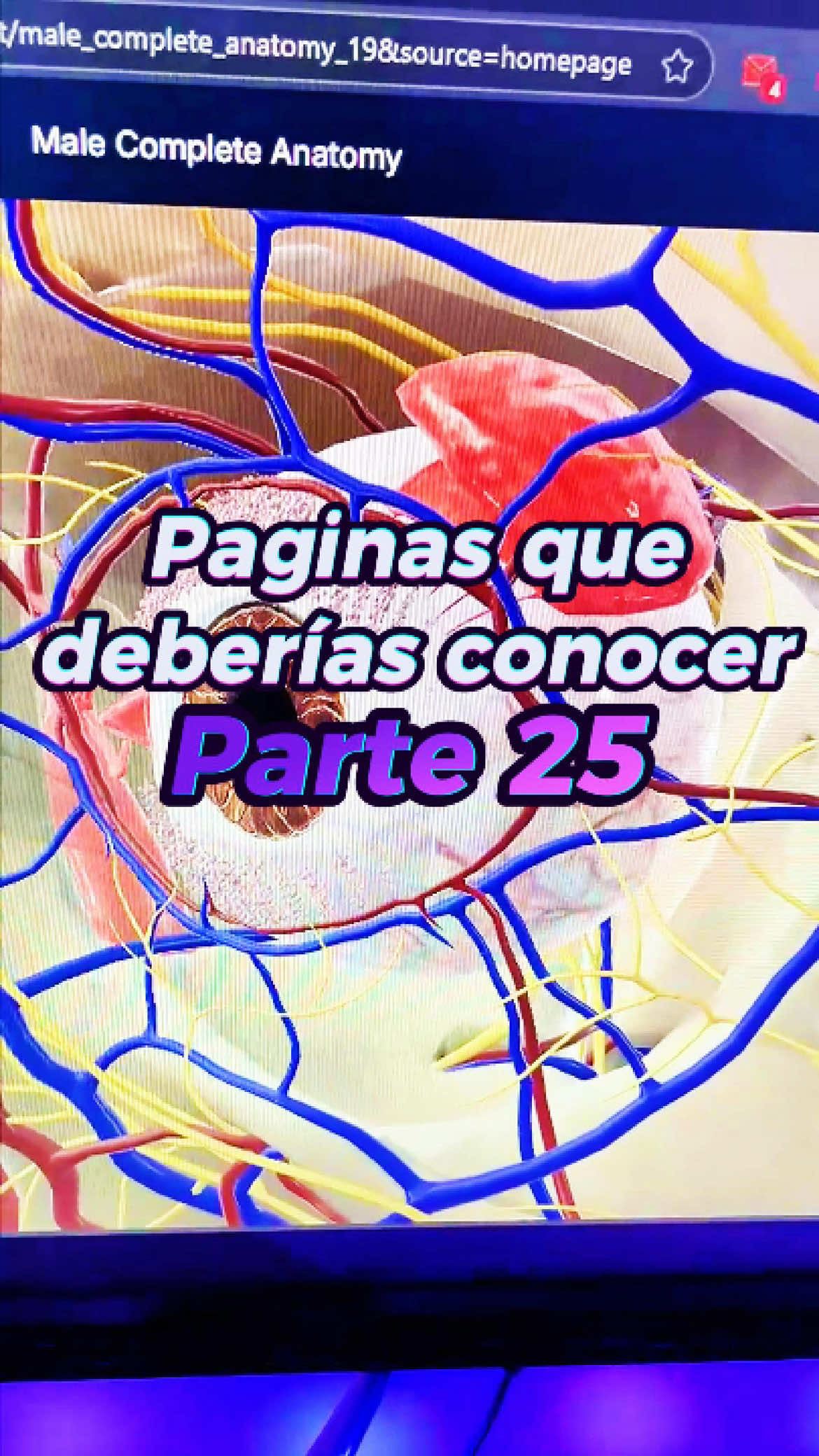 @LadinoIT