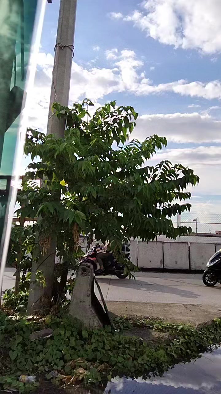 @Jeesan Javier(Jhessy29)