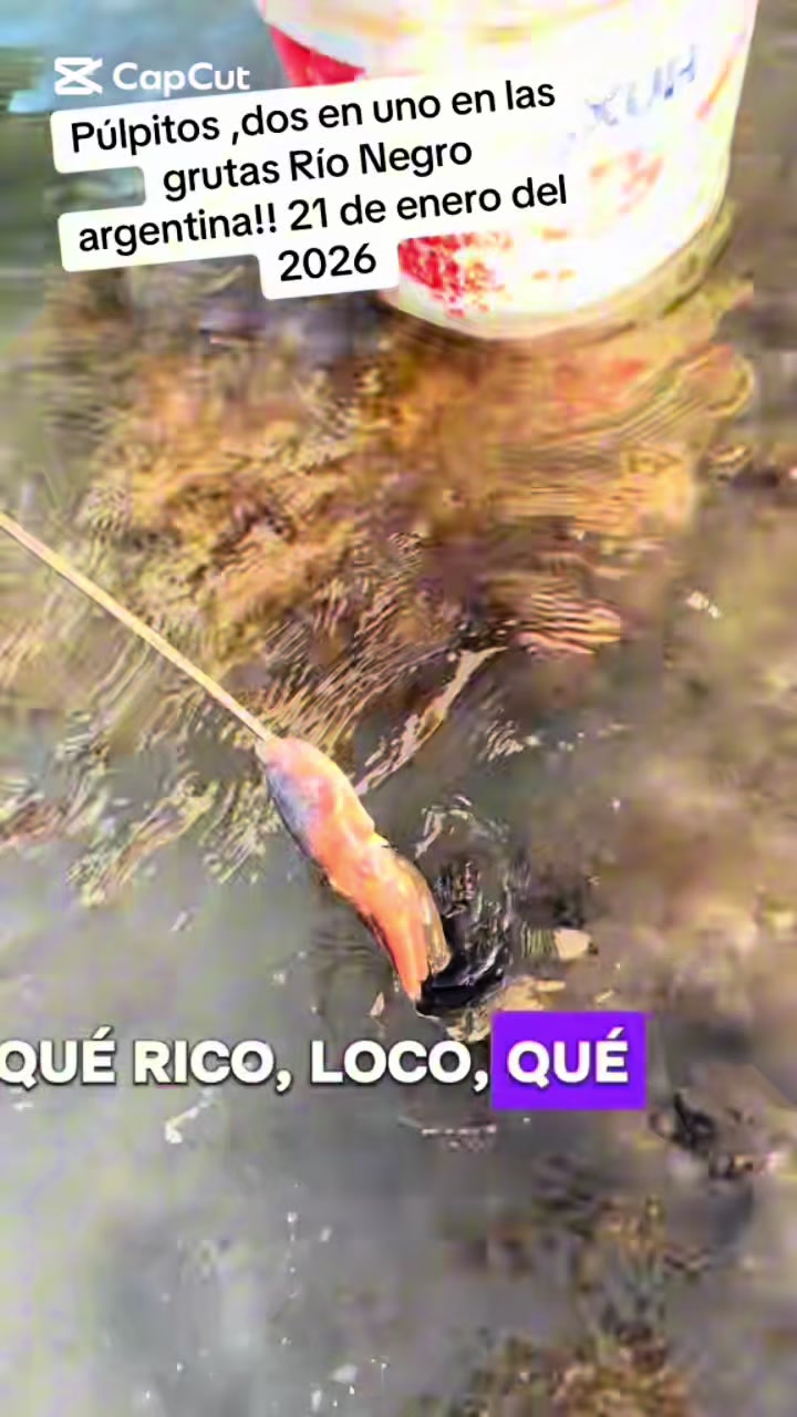 @El flaco