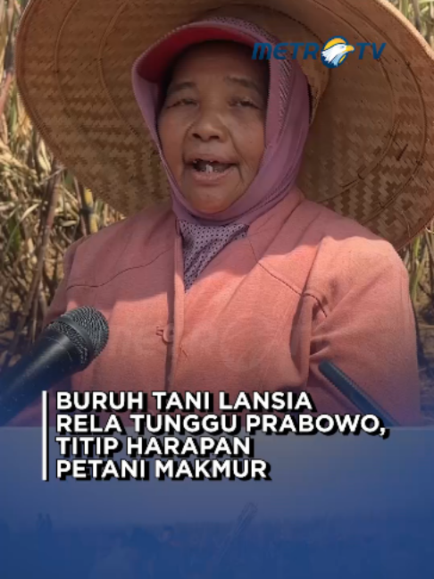 @Metro TV