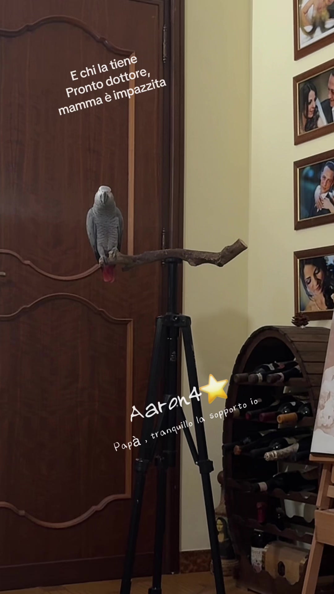 @Aaron4