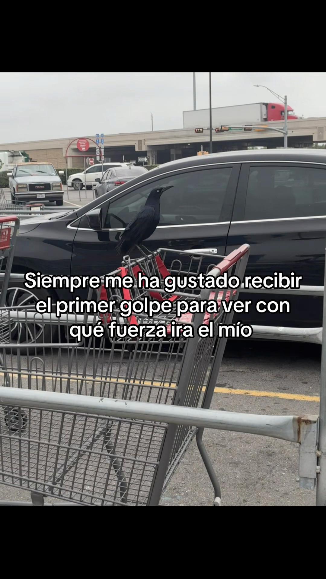 @AngelisA01