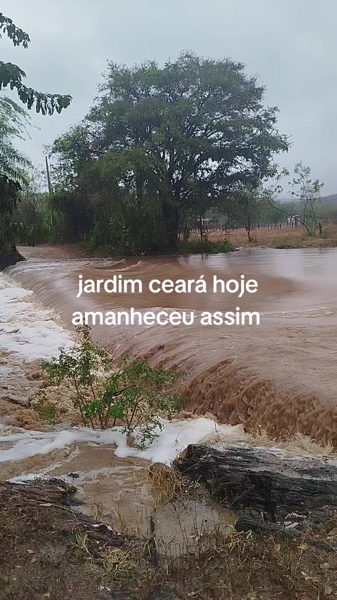 @Fátima Ferreira cosméticos