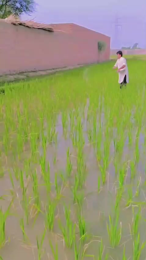 @Abdul Nabi mirali