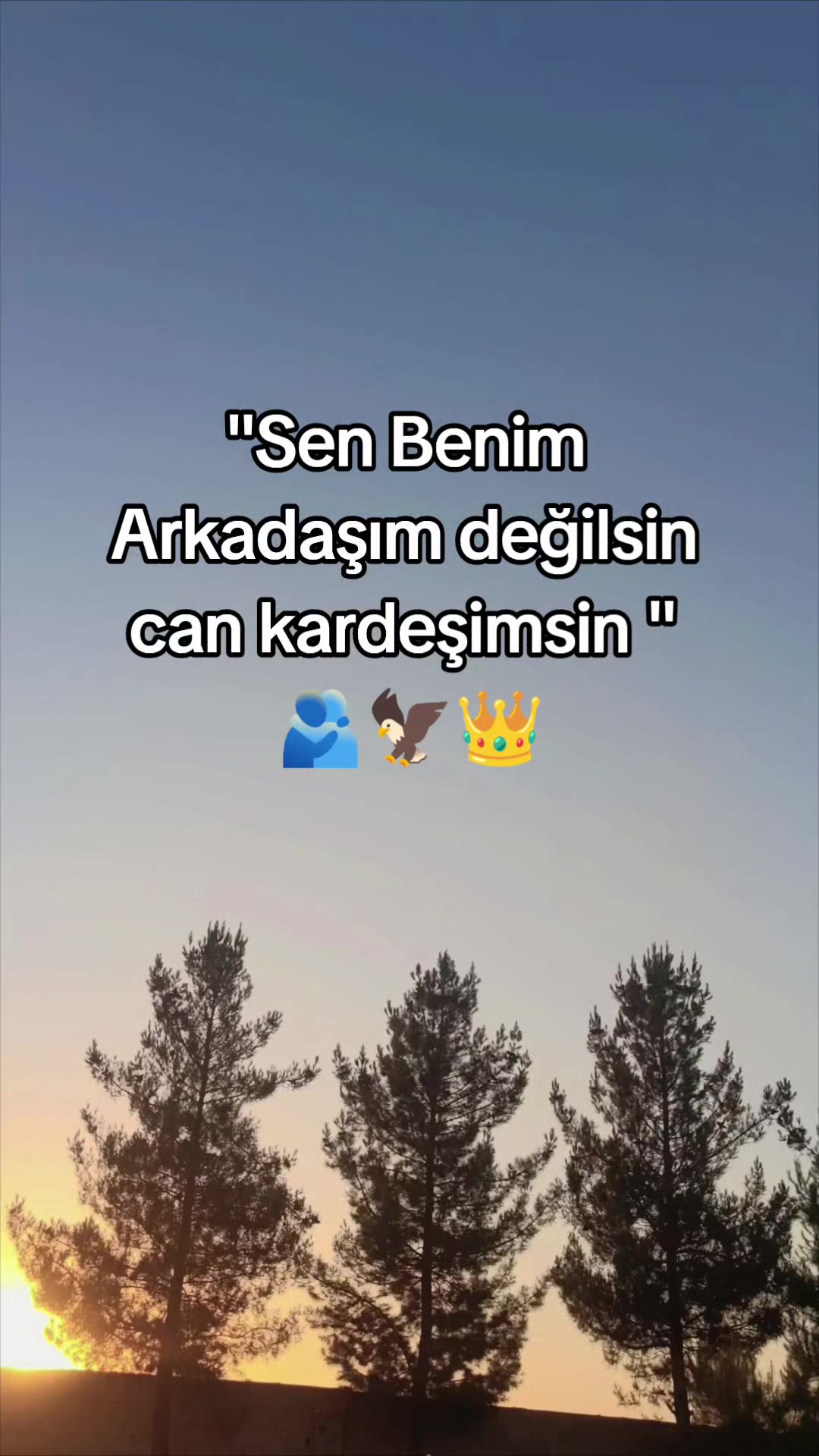 @📌STORY📌.       🫶&hearts;️