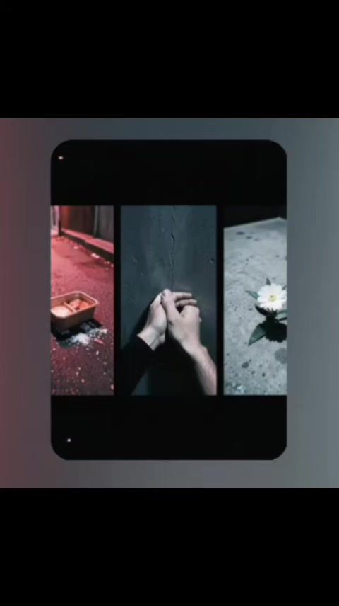 @송기자