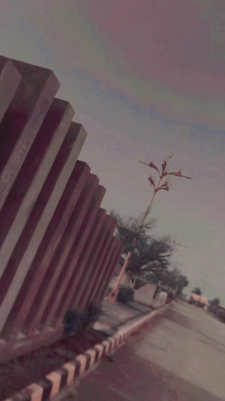 @🥀✨🖇️بھٹی بادشاہ 🖇️✨🥀