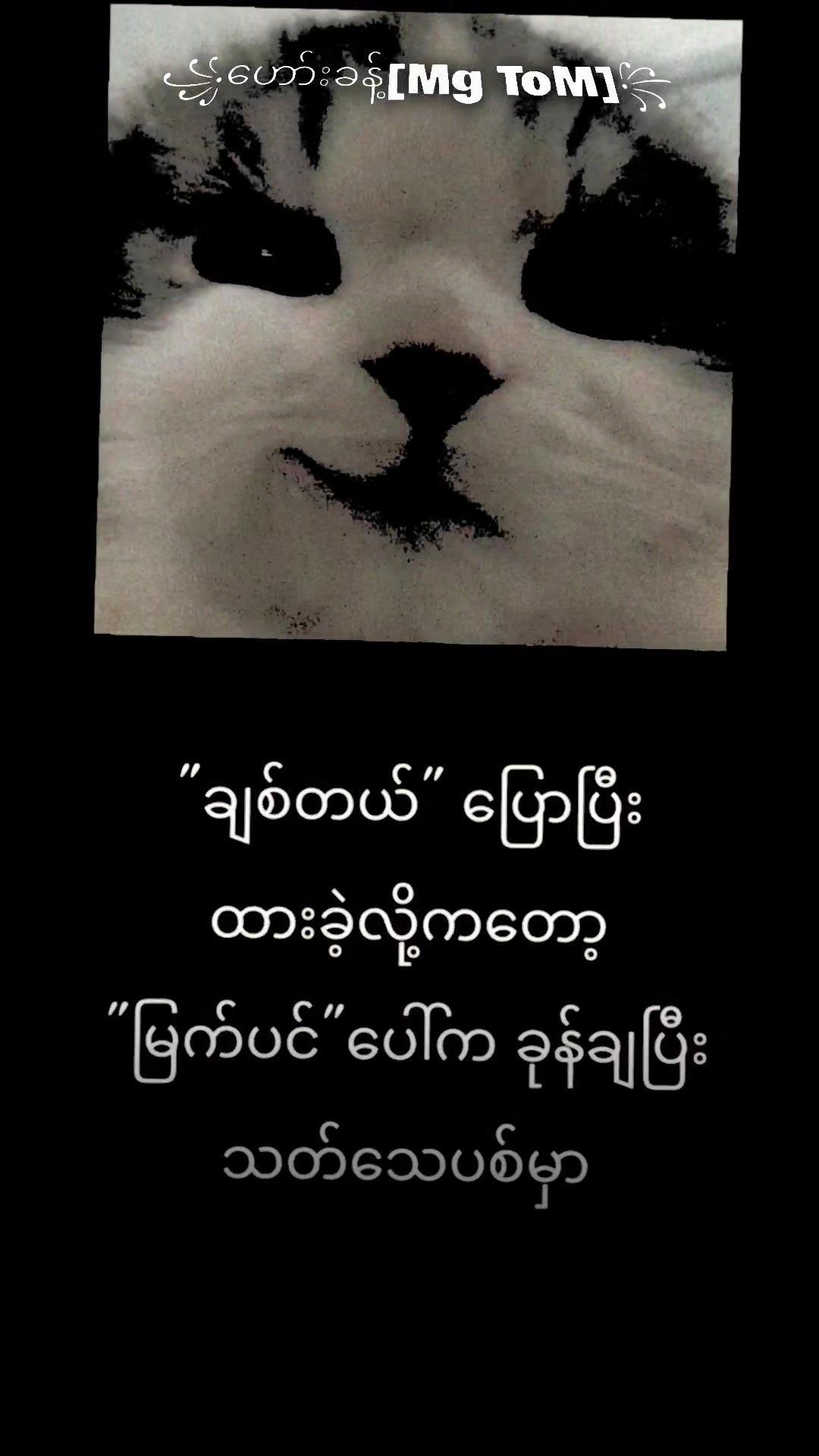 @꧁ဟော်းခန့်[Mg ToM]꧂