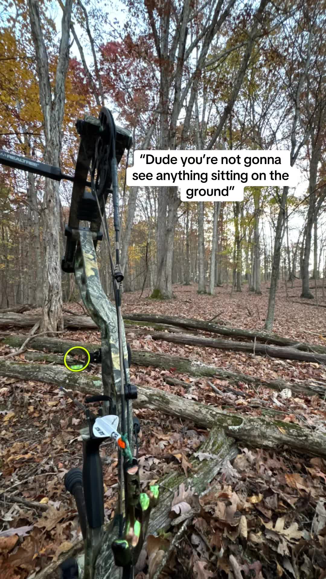 @wyatt_afton