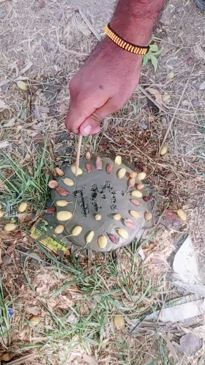 @Asif jakhrani🧿