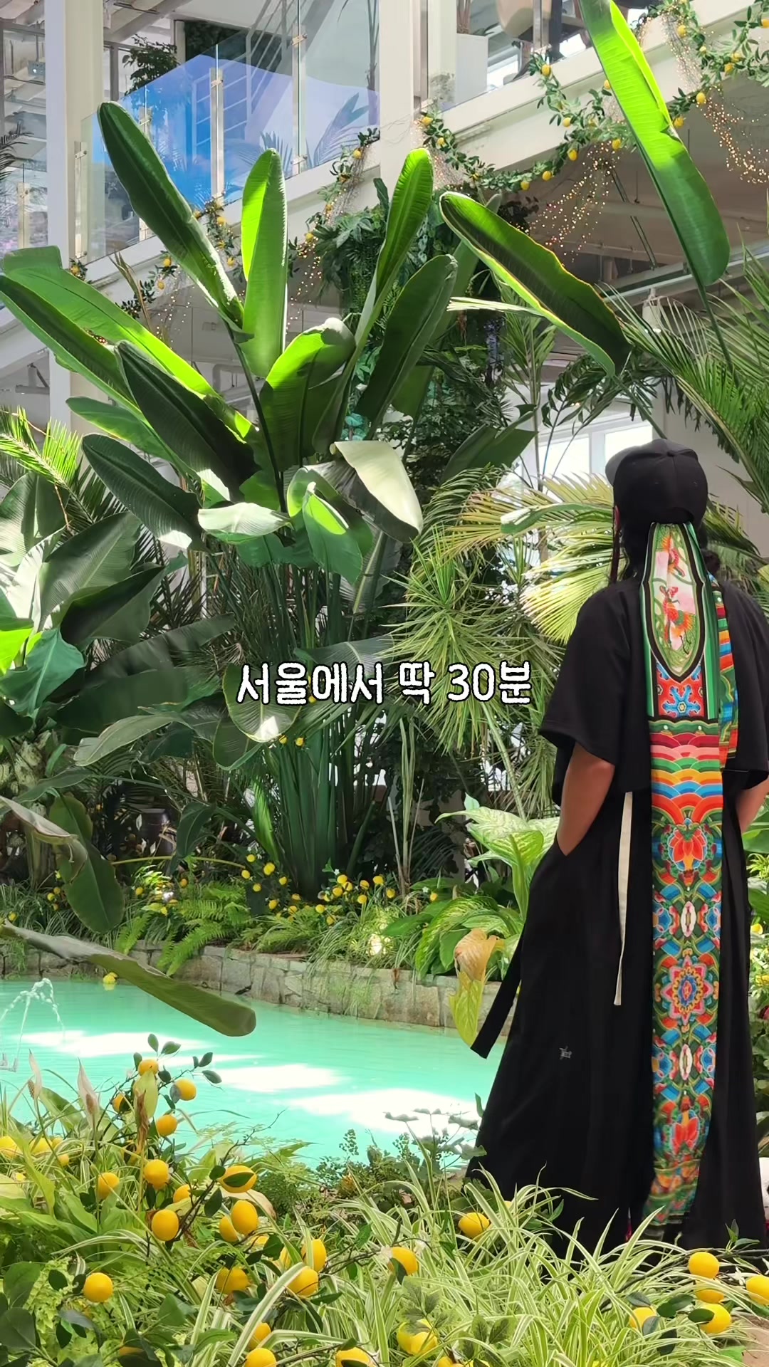 @traveler_jin