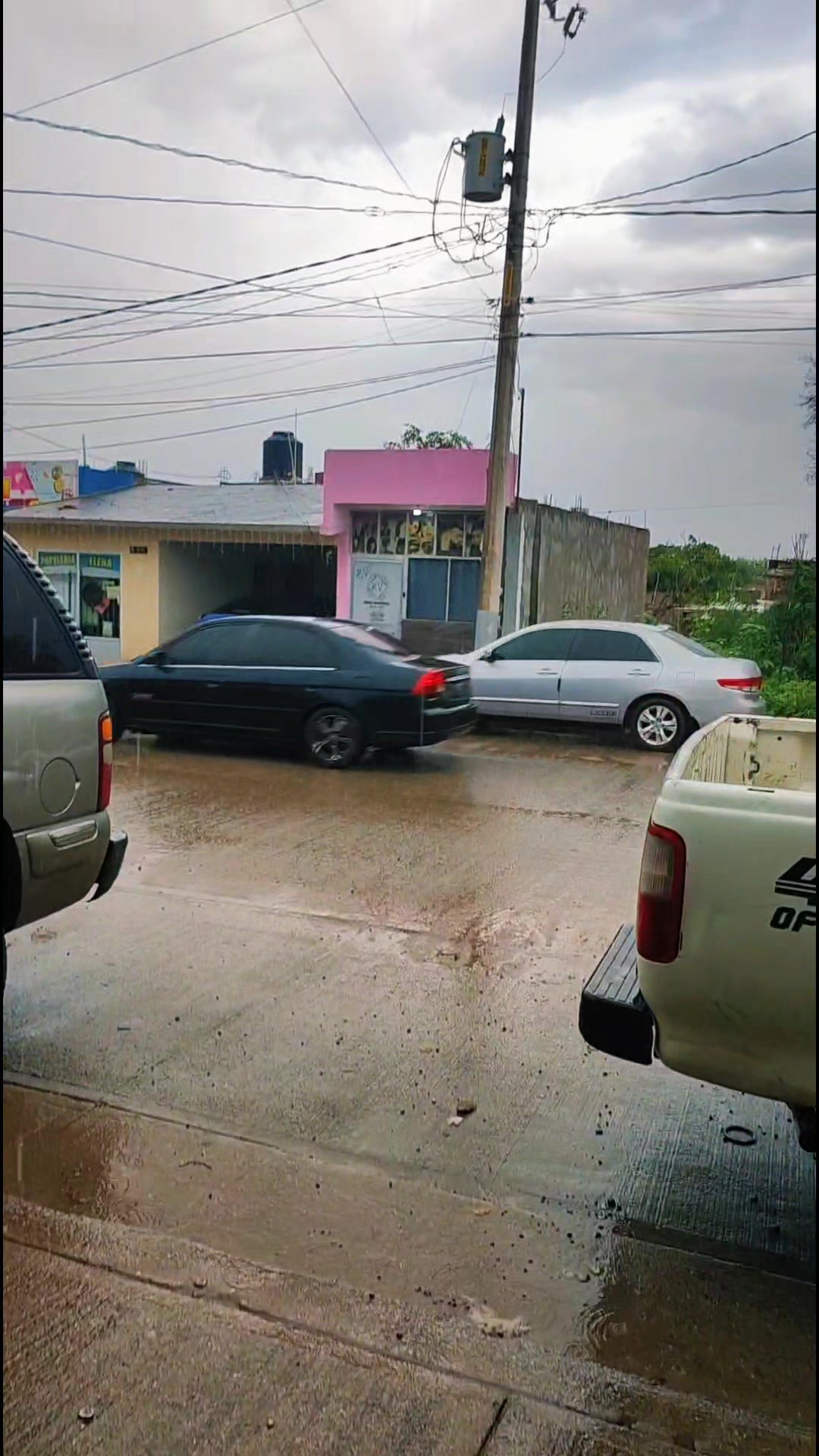 @Que bonito es lo 🐺 bonito🤠
