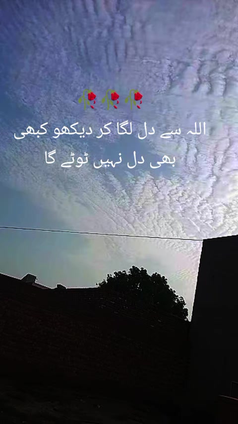 @Akhtar khokhar 333