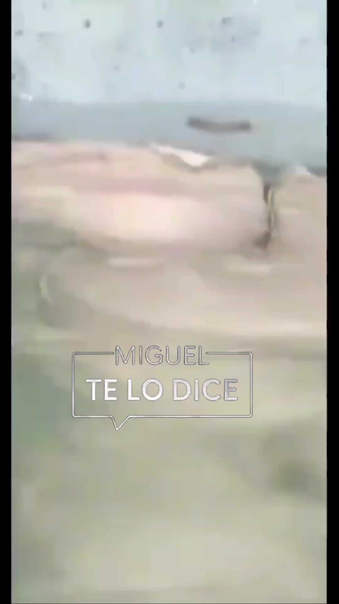 @Miguel Angel Romero