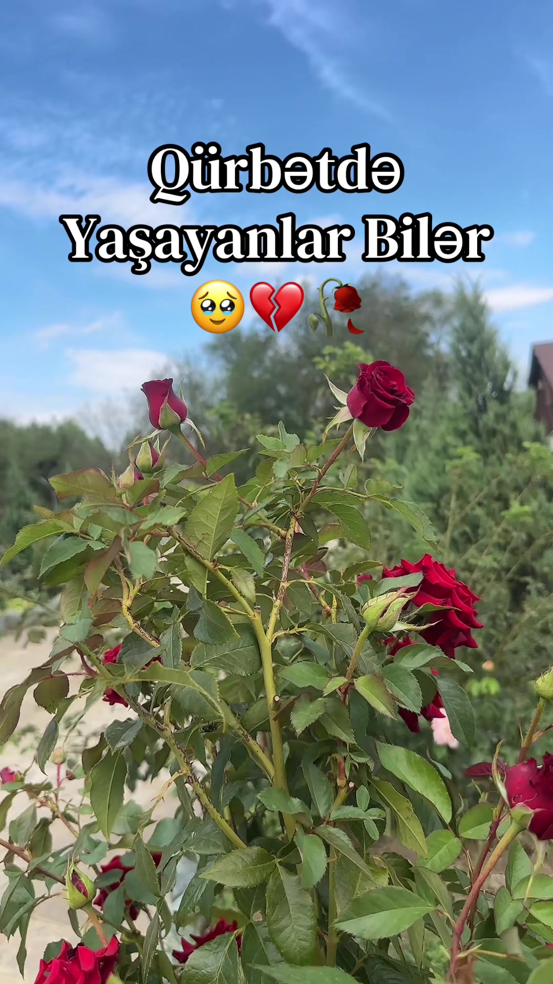 @♡𝙏𝙤𝙩𝙪𝙢♡