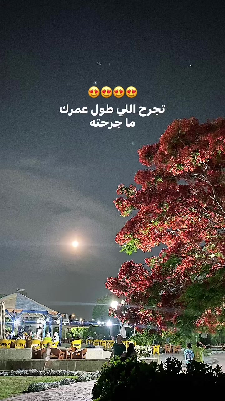 @🌟
