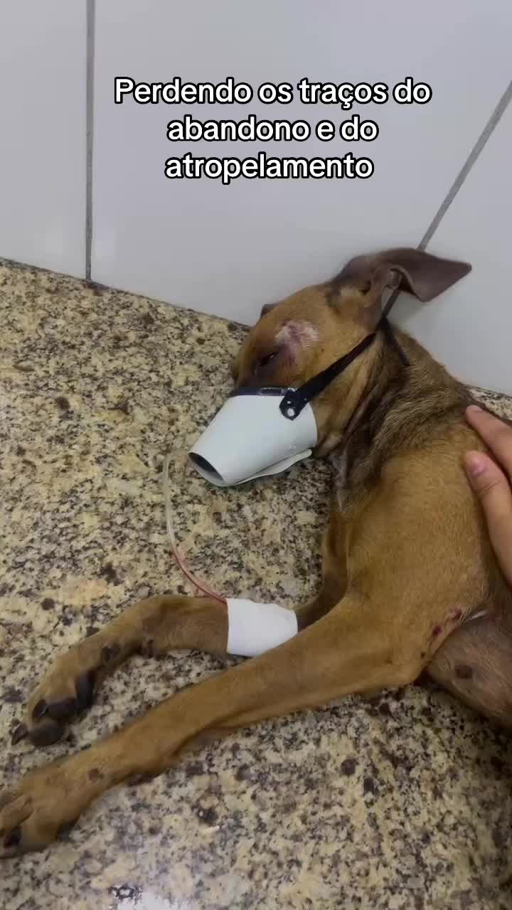 @Lua