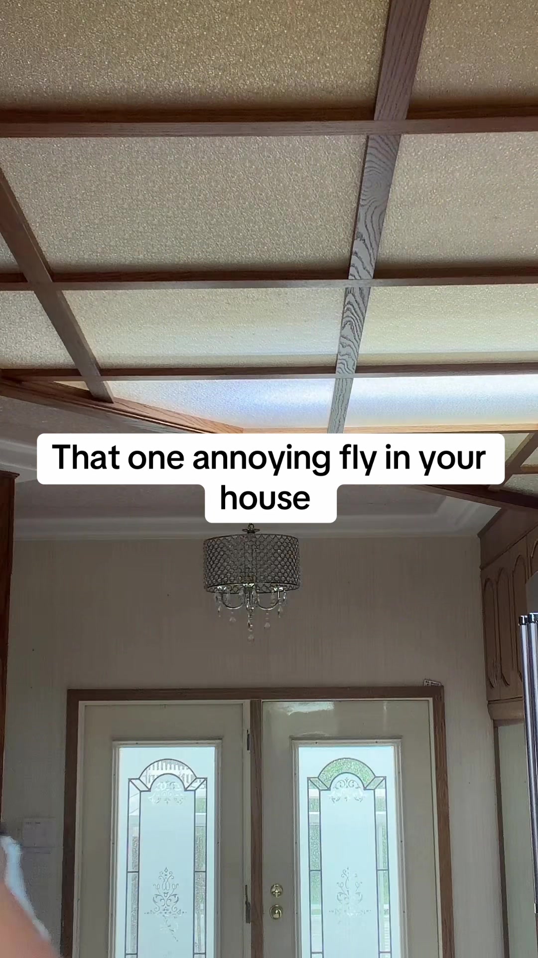 @Stacey Bee