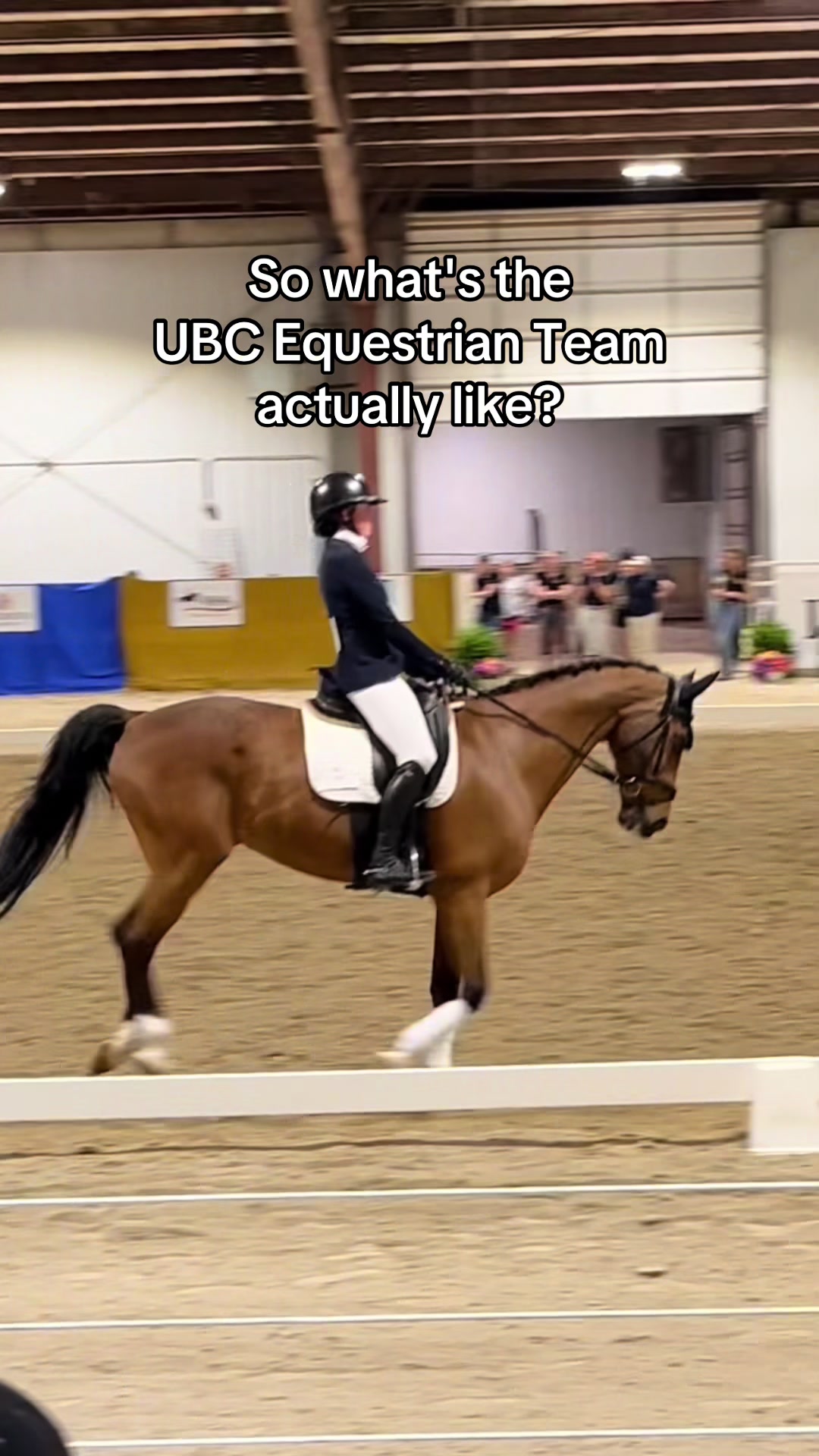 @UBC Equestrian Team