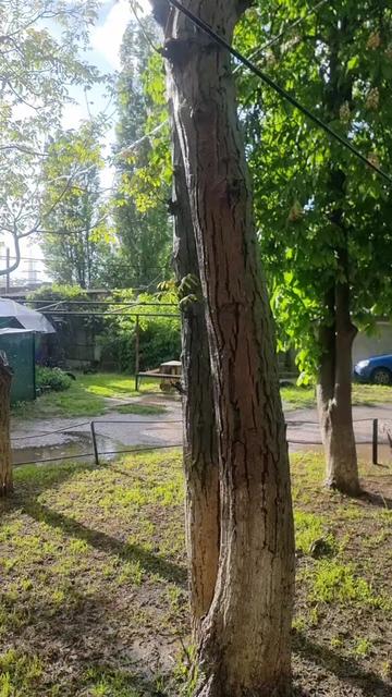 @Vitaliy kiryazov