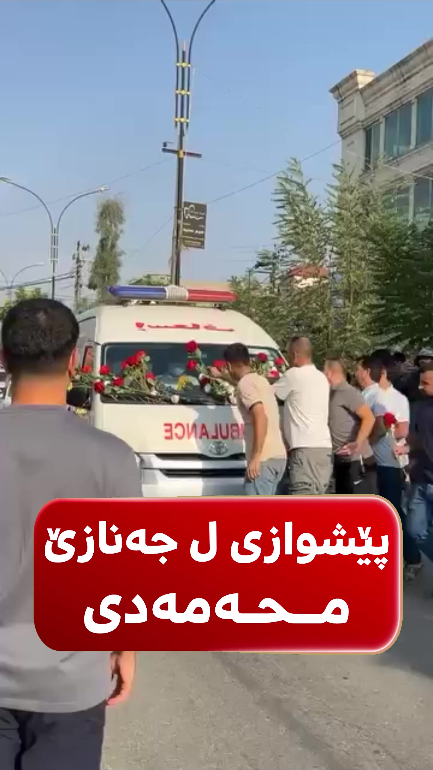 @bizavtv