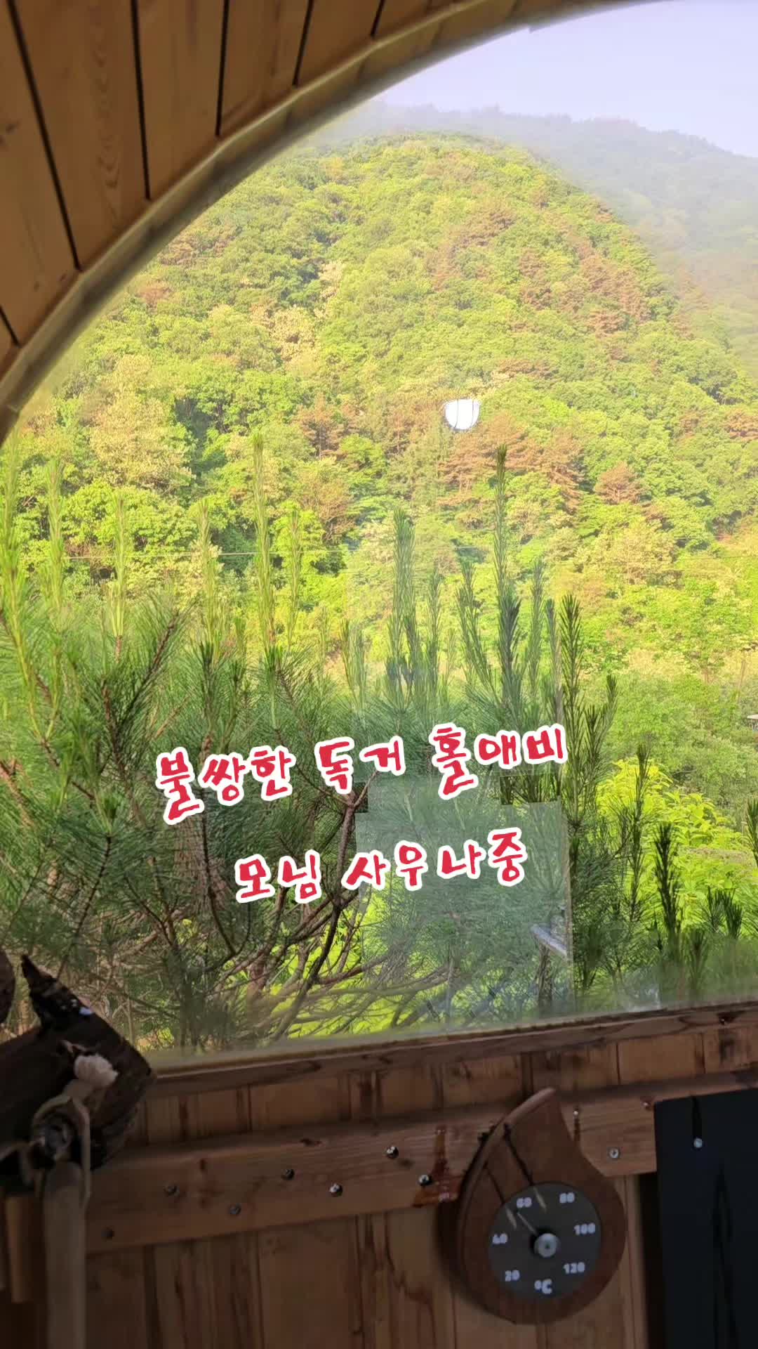 @나는 자연인이다 ~🤪