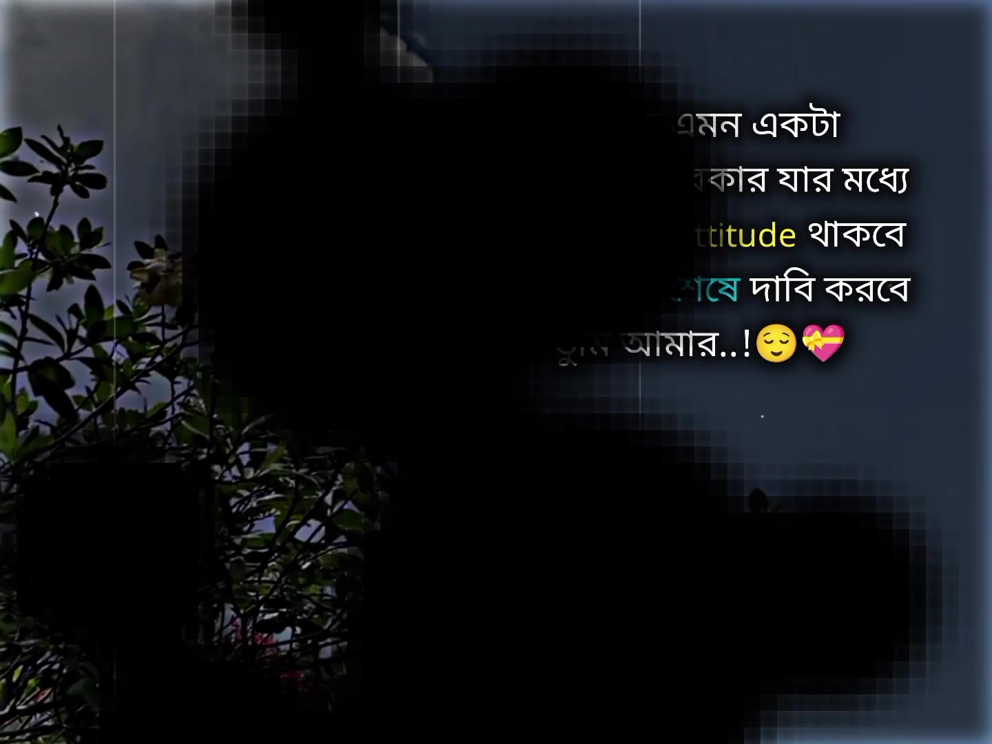 @𝗧𝗮𝗿𝗲𝗸 𝗕𝗵𝗮𝗶𝘆𝗮𝗮'♡︎