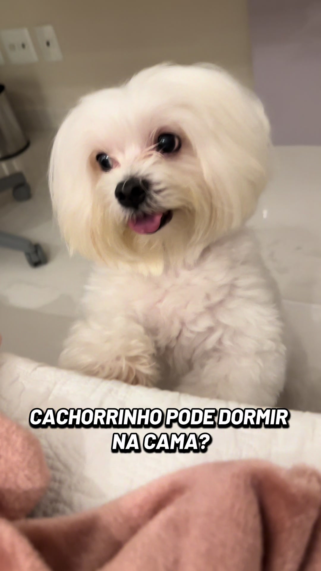 @maripordeus_
