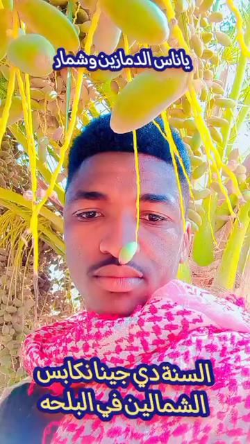 @حامدشعيب ودشمار 🇸🇩🇳🇬⚔️