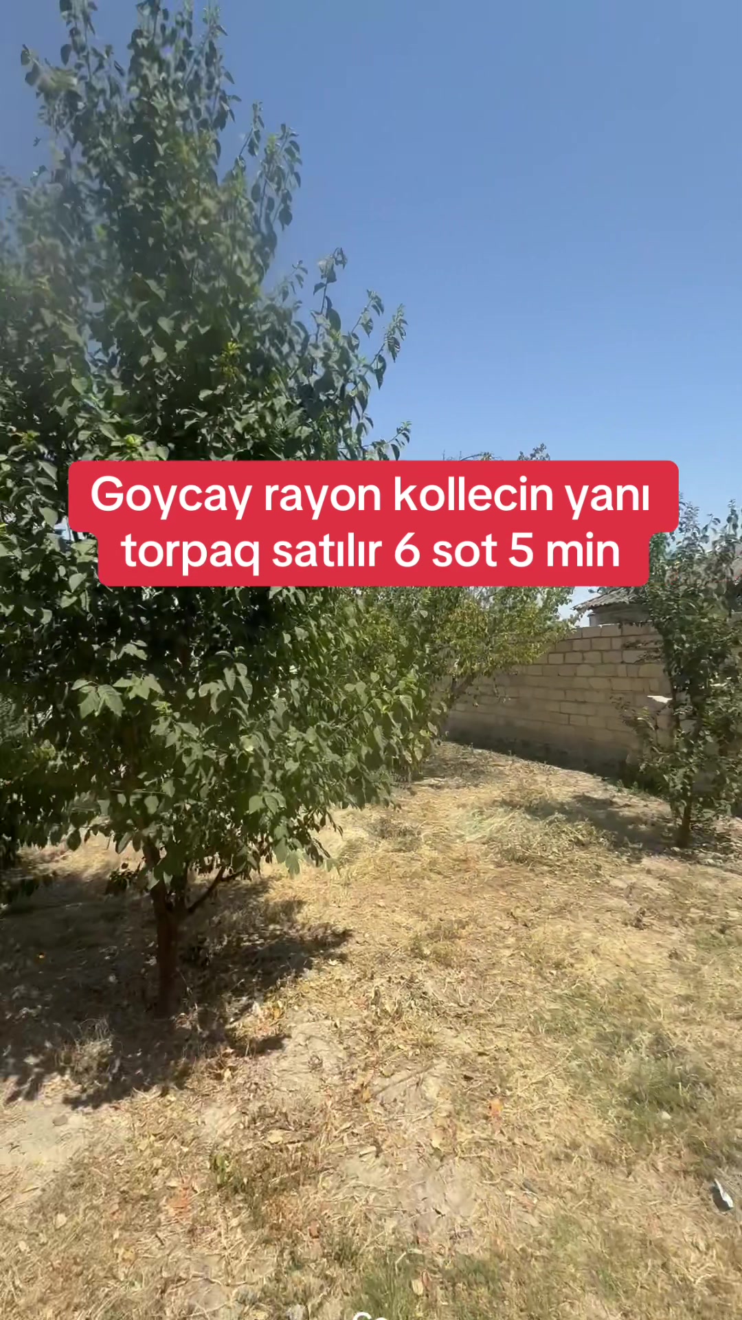 @Kenan_makler_elan_xeber