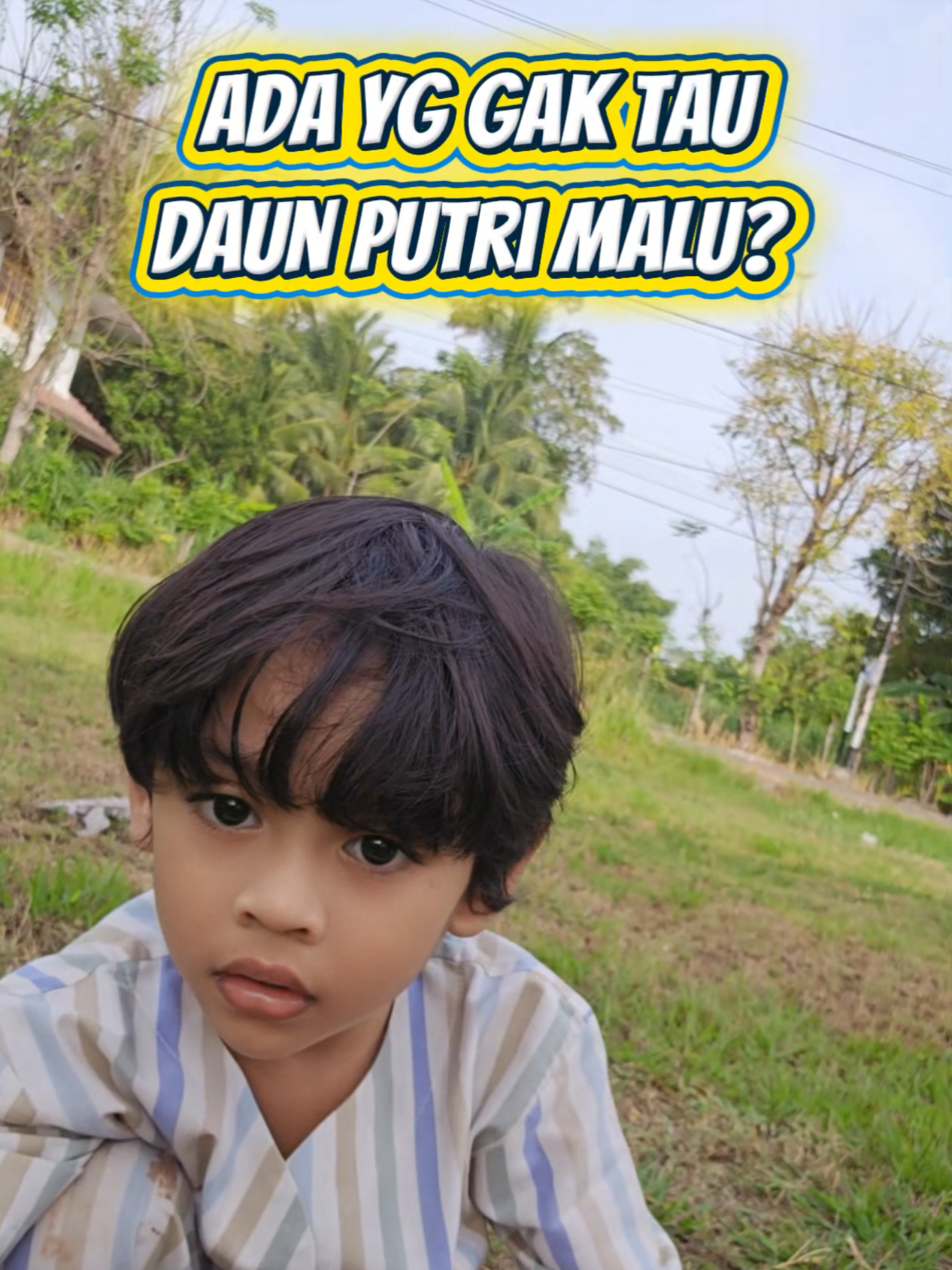 @Teuku Mirza