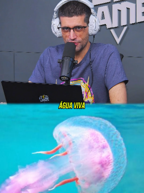 @Davy Jones