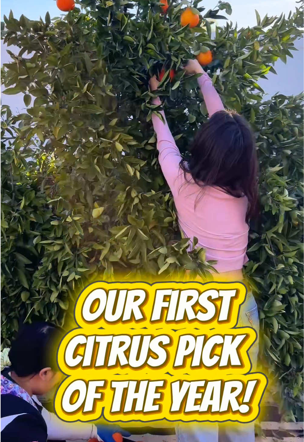 @fruitfullyyoursnp
