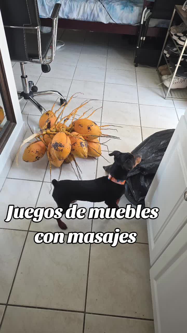 @papitoelchacal